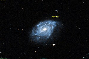 NGC 1255 DSS.jpg