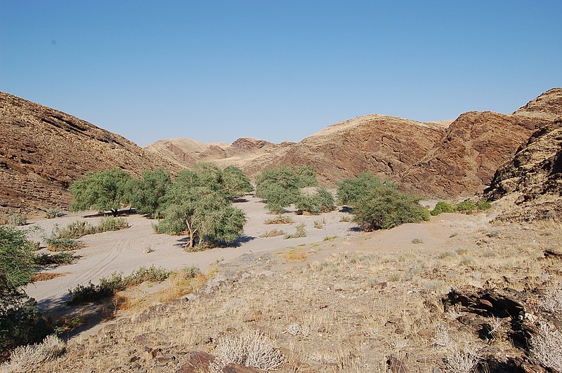 File:Namib Naukluft National Park, Namibia (3128980590).jpg