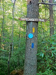 Narragansett Trail - intersection with Tippecansett Trail at the Connecticut-Rhode Island state border.jpg