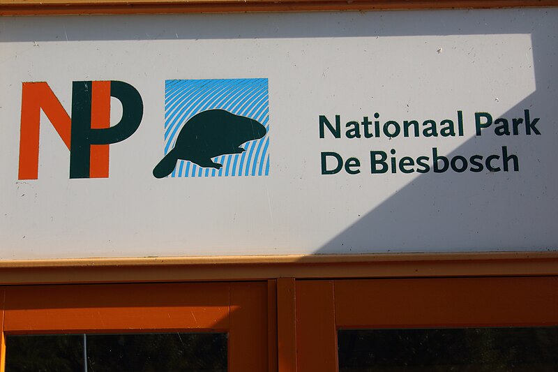 File:Nationaal park De Biesbosch 09.jpg