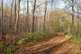 Finkenberg-Lerchenberg