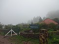 Neblina del Bosque, Miraflor Nature Reserve