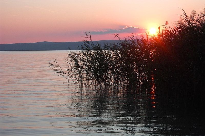 File:Neusiedler See Abend.JPG