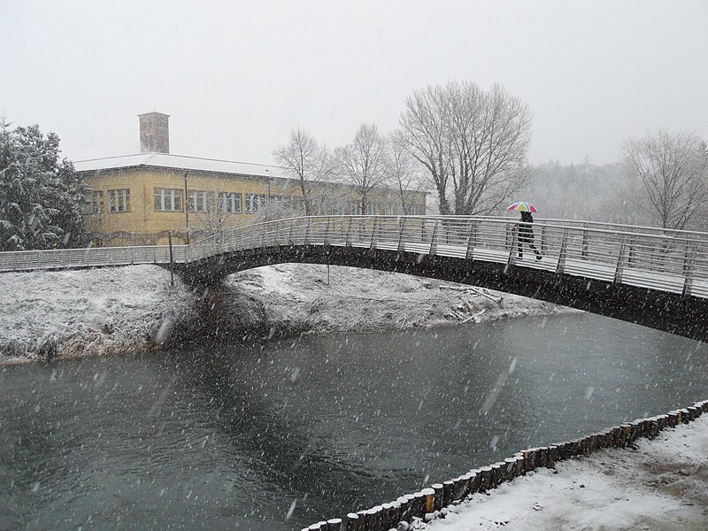 File:Neve a Rieti - mattina 1 febbraio 2012 - ponte pedonale, 2.JPG