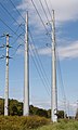 * Nomination New Power lines cut through the Meadow --Sixflashphoto 02:16, 2 October 2017 (UTC) * Promotion Good quality. -- Johann Jaritz 02:30, 2 October 2017 (UTC)