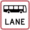 Bus Lane