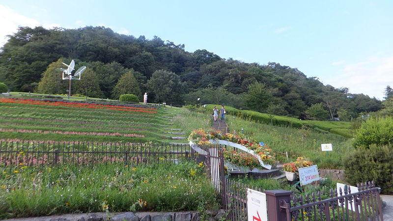 File:Nunobiki Herb Garden in 2014-8-30 No,29.JPG