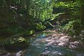 * Nomination Inside Old Man's Cave, Hocking Hills State Park-- Sixflashphoto 02:30, 27 May 2018 (UTC) * Promotion Good quality. -- Johann Jaritz 02:53, 27 May 2018 (UTC)