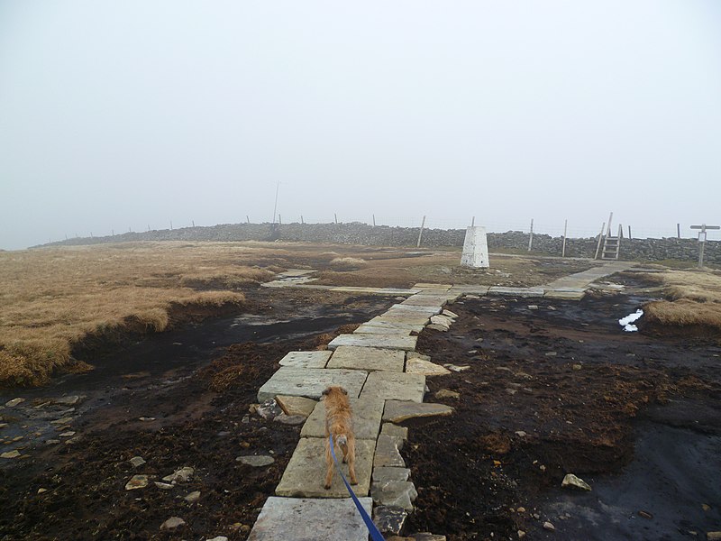 File:On Buckden Pike - geograph.org.uk - 2295716.jpg