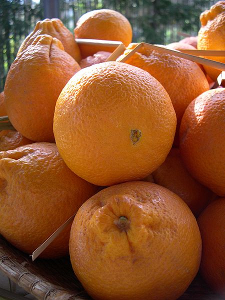 File:Oranges 1.jpg