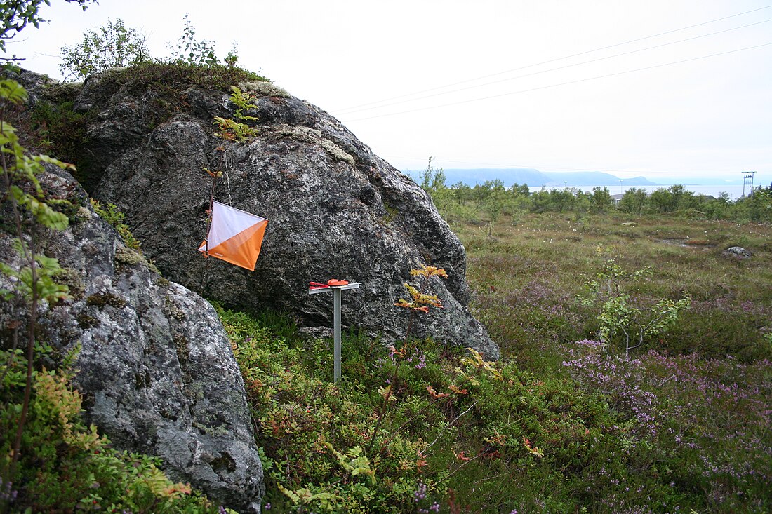 Sortland Orienteringslag