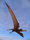 Thumbnail for File:Ornithocheirus robustus 01.jpg