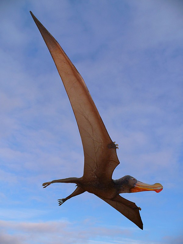 File:Ornithocheirus robustus 01.jpg