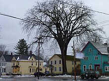 Johnstown Elm in Johnstown, NY. 196 inch circumference, 85 feet tall, disease free in September, 2013. Largest elm in New York state, photo January 2012. (No longer standing as of October 2018.) P1020327JohnstownElm.JPG