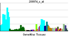 PBB GE BUB3 209974 s at tn.png