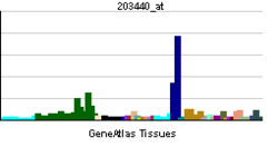 PBB GE CDH2 203440 at tn.png