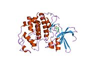 1jsv: ساختار کیناز 2 وابسته به سیکلین (CDK2) در کمپلکس با 4-[(6-آمینو-4-پیریمیدینیل) آمینو] بنزن سولفونامید