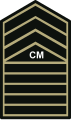 PHIL ARMY CMSG WOODLAND.svg