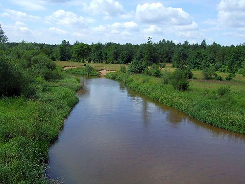 POL Radomka river.jpg