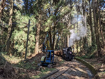 Steam locomotives are used to transport thinned timber, recreating the classic timber transport scene of Mount. A-li Forestry Railway. Photographer: Tcchang0825