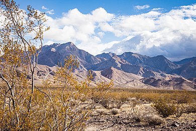 Pahrump Valley Wilderness Pahrump Valley Wilderness.jpg