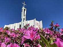 Imagem das Azaléias, flor típica da cidade, ao fundo a Paróquia Nossa Senhora da Glória