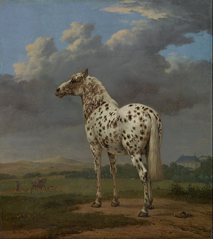 429px-Paulus_Potter_(Dutch_-_The_"Piebald"_Horse_-_Google_Art_Project.jpg (429×480)