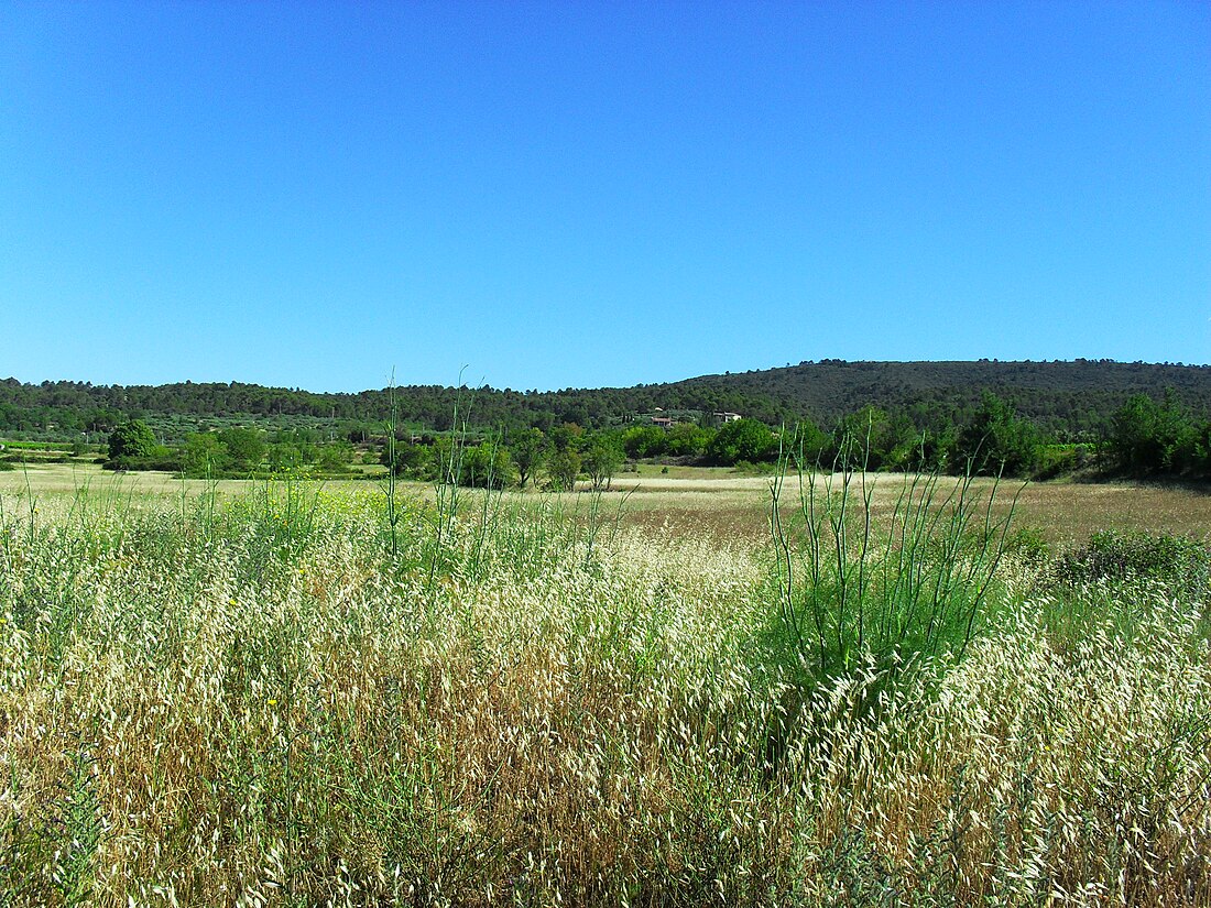 File:Paysage de Provence 1.jpg