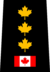 Peel Police - Personel Müfettişi (Eski).png