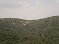 "Σπέλ" (σπηλιά) βόρεια του χωριού, στο βουνό Κούκος 313μ. ("Υψηλόν το βουνόν" για τους κατοίκους)