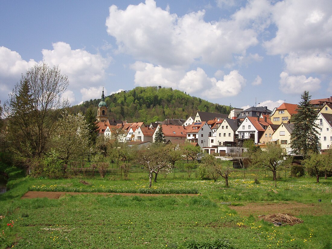 Schloßberg (Pegnitz)