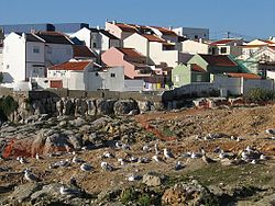 Peniche 03.JPG