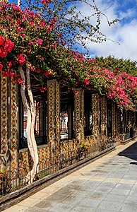 Pergola Tazacorte La Palma