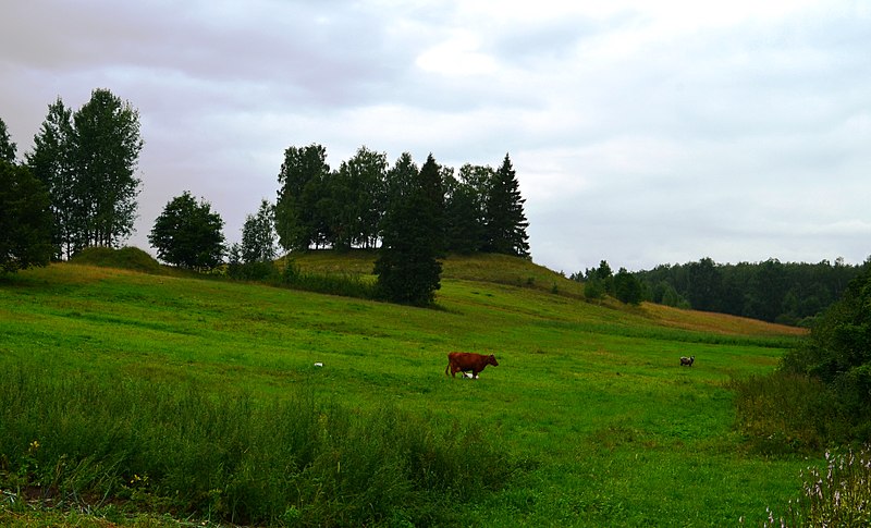 File:Petrešiūnų piliakalnis.JPG