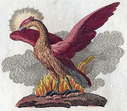 A depiction of a phoenix by Friedrich Justin Bertuch, (1806)