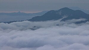 Photograph taken while shooting the 2007 documentary "Les Brumes du Manengouba" in the Bakossi Forests PhotoBrumes18.jpg