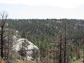 Forested Hills in Pine Ridge NRA.