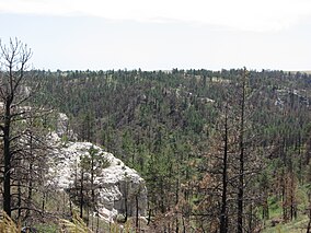 Сосновый хребет nebraska.jpg