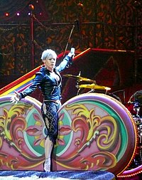 Pink during her Funhouse Tour in Dusseldorf on November 28, 2009. Pink Funhouse P1200486.jpg