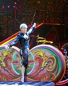 Pink auf der Funhouse-Tour (2009)