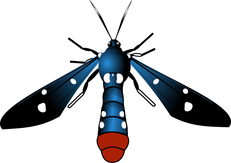 File:Polka-Dot Wasp Moth.svg