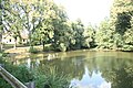 Čeština: Rybník ve Lhoticích, Želiv, okr. Pelhřimov. English: Pond in Lhotice, Želiv, Pelhřimov District.