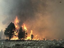 Ponina Fire, 2021 Ponina Fire.jpg