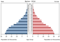 English: The population pyramid of Belize illustrates the age and sex structure of population and may provide insights about political and social stability, as well as economic development. The population is distributed along the horizontal axis, with males shown on the left and females on the right. The male and female populations are broken down into 5-year age groups represented as horizontal bars along the vertical axis, with the youngest age groups at the bottom and the oldest at the top. The shape of the population pyramid gradually evolves over time based on fertility, mortality, and international migration trends. Українська: Віково-статева піраміда населення Белізу за 2014 рік. Вона дає наочне уявлення про вікову і статеву структура населення країни, може слугувати джерелом інформації про політичну і соціальну стабільність, економічний розвиток. Блакитними кольорами ліворуч, у вигляді горизонтальних смуг показані вікові групи (з кроком 5 років кожна) чоловічої статі, праворуч рожевими — жіночої. Наймолодші вікові групи — внизу, найстаріші — вгорі. Форма піраміди поступово еволюціонує з плином часу під впливом чинників народжуваності, смертності і світової міграції.