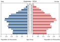 English: The population pyramid of Guernsey illustrates the age and sex structure of population and may provide insights about political and social stability, as well as economic development. The population is distributed along the horizontal axis, with males shown on the left and females on the right. The male and female populations are broken down into 5-year age groups represented as horizontal bars along the vertical axis, with the youngest age groups at the bottom and the oldest at the top. The shape of the population pyramid gradually evolves over time based on fertility, mortality, and international migration trends. Українська: Віково-статева піраміда населення Гернсі за 2014 рік. Вона дає наочне уявлення про вікову і статеву структура населення країни, може слугувати джерелом інформації про політичну і соціальну стабільність, економічний розвиток. Блакитними кольорами ліворуч, у вигляді горизонтальних смуг показані вікові групи (з кроком 5 років кожна) чоловічої статі, праворуч рожевими — жіночої. Наймолодші вікові групи — внизу, найстаріші — вгорі. Форма піраміди поступово еволюціонує з плином часу під впливом чинників народжуваності, смертності і світової міграції.