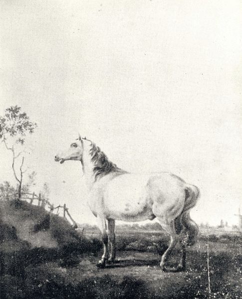 File:Potter Horse.jpg