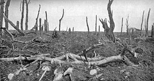 Pozieres view north 28 August 1916.jpg