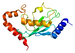 Протеин UBE2B PDB 1jas.png