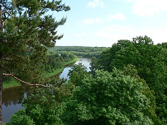 Nemunas seen from the Hill of Margiris Punia Neman.jpg