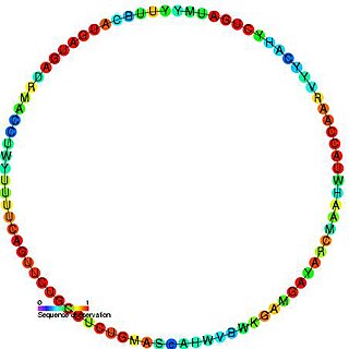 <span class="mw-page-title-main">Small nucleolar RNA snR61/Z1/Z11</span>